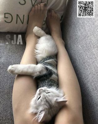 韩国亚洲欧美超一级在线播放视频_720动漫免费观看